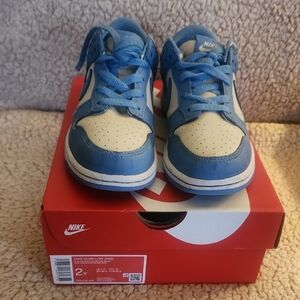 Nike Kids Blue and White Dunk Low Style Sneakers